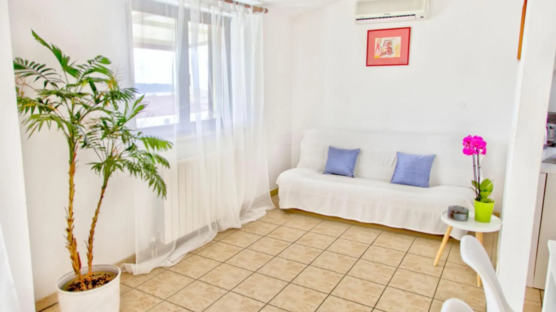 Apartments Manuel Pjescana Uvala Κροατία